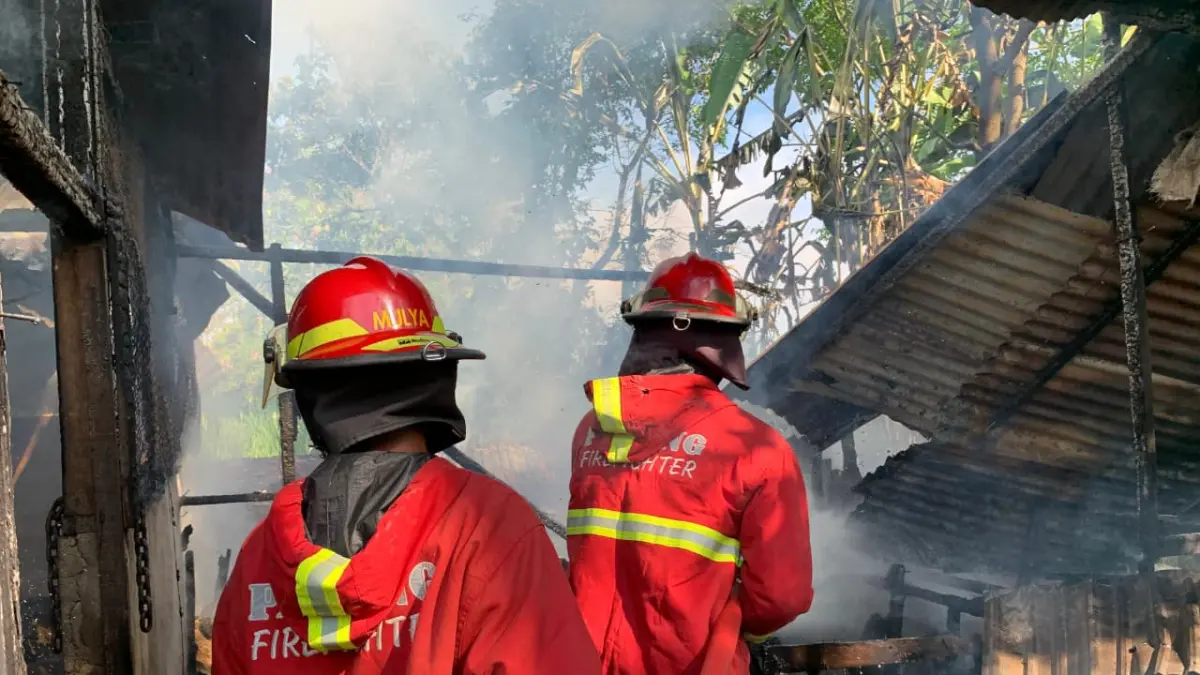 Personel Damkar melakukan pemadaman api yang membakar kandang sapi di Kuranji, Kota Padang, Sabtu (25/4/2026). (Dinas Damkar Kota Padang)