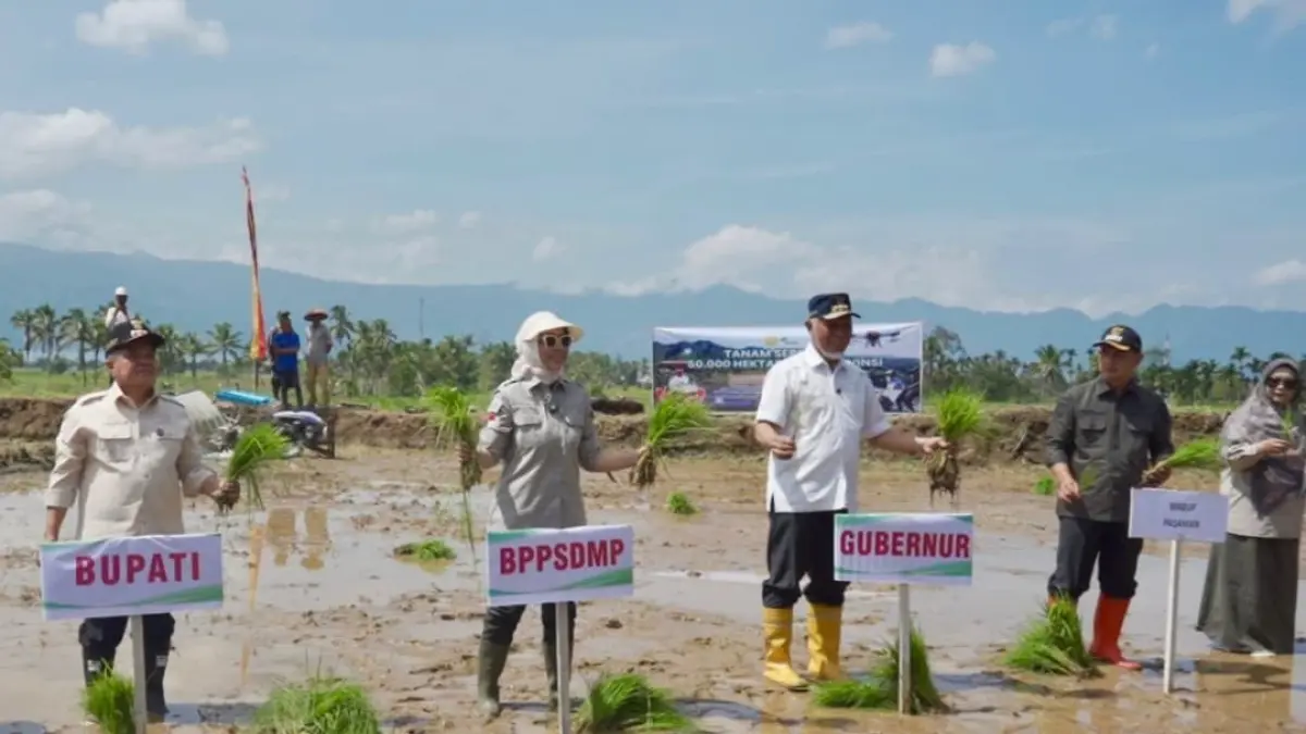 Gerakan tanam padi serempak di Kabupaten Agam, Sumatera Barat, 30 April 2026.(Foto: Humas Kementan)