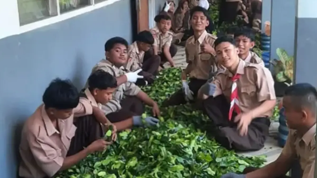 Murid SMPN 1 Tanjungemas sedang memilah daun jeruk untuk dijual beberapa waktu lalu. (TIM LAMAN GURU)