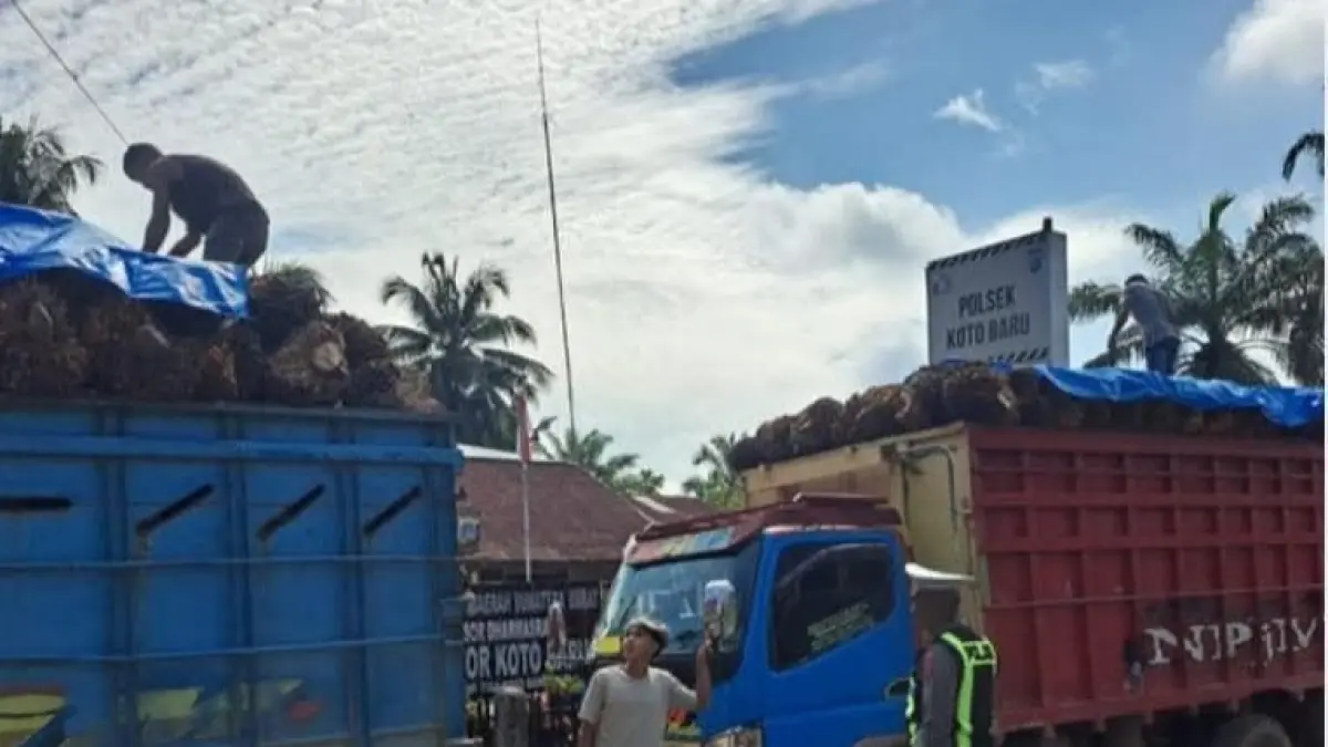 Jajaran Unit Lalu Lintas Polsek Koto Baru kembali melakukan penertiban terhadap kendaraan angkutan barang, khususnya truk pengangkut kelapa sawit yang melintas tanpa menggunakan penutup terpal. (DOKUMENTASI POLSEK KOTO BARU)