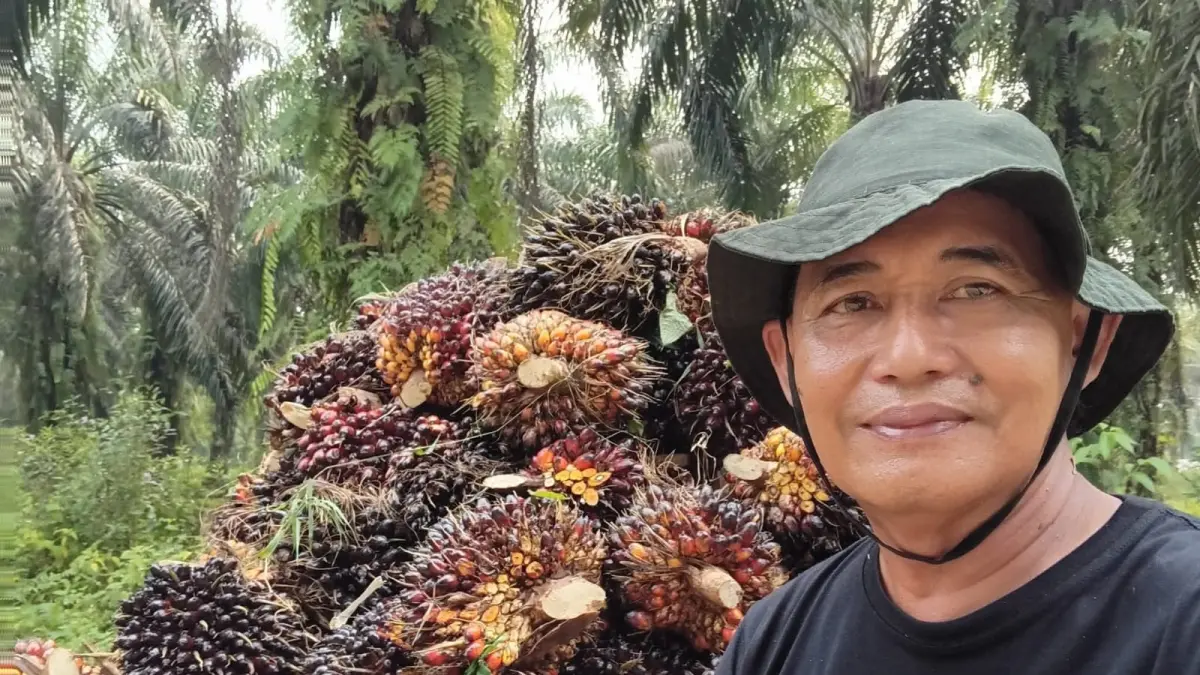 Ketua DPD Asosiasi Petani Kelapa Sawit Indonesia (APKASINDO) Kabupaten Sijunjung, Bagus Budi Antoro, menyampaikan protes terkait penurunan harga Tandan Buah Segar (TBS) oleh pabrik kelapa sawit di Sijunjung, Jumat (22/5). (DOK APKASINDO UNTUK PADEK)