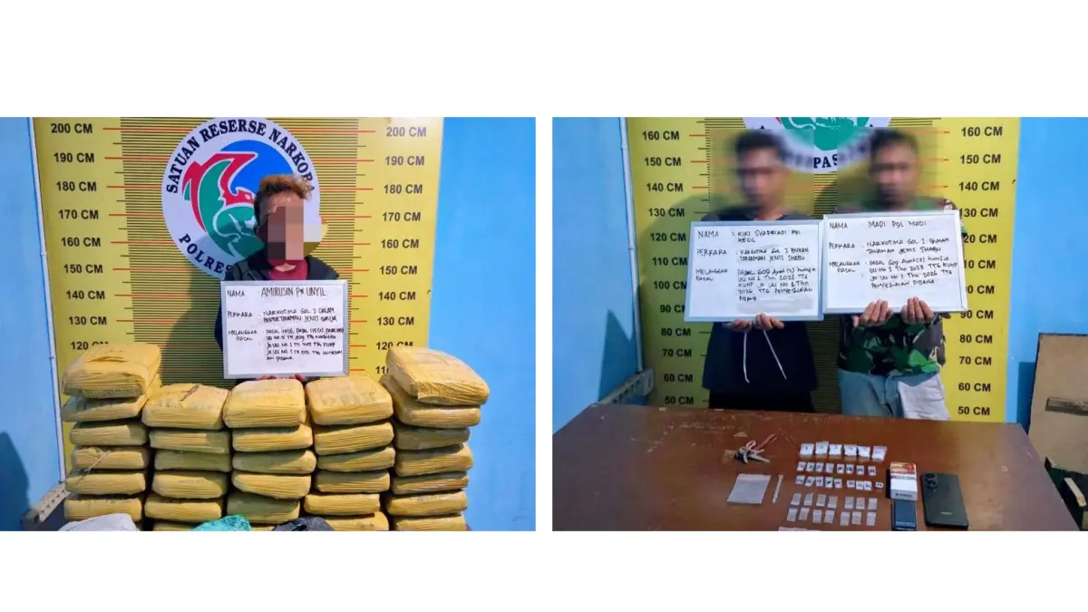 Petugas Satresnarkoba Polres Pasaman mengamankan barang bukti puluhan paket ganja dan sabu dalam dua pengungkapan kasus narkotika berbeda di wilayah Panti Selatan dan Rao Selatan, Kamis (21/5) malam. (DOK POLRES PASAMAN)