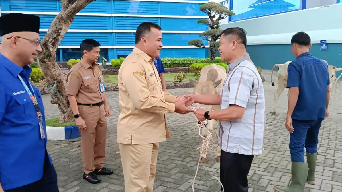 Penyerahan hewan kurban dilakukan secara simbolis oleh Sekko Padang Raju Minropa didampingi direksi dan dewas Perumda Air Minum Kota Padang kepada penerima di kantor pusat Jalan Sawahan Senin (25/5). (SURYANI/PADEK)