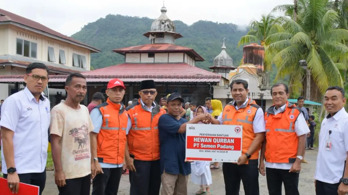 PT Semen Padang menyalurkan 36 sapi kurban ke masyarakat Sumbar. Warga menyebut bantuan itu jadi tradisi Iduladha yang selalu dinantikan warga.