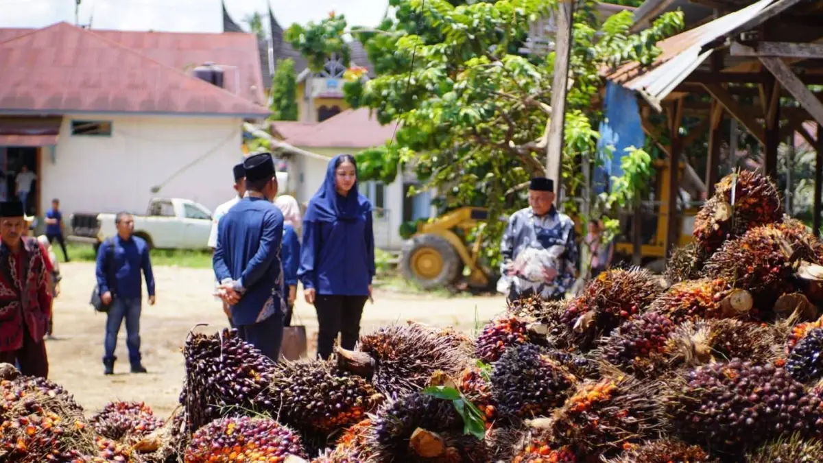 (DOKUMENTASI PEMKAB DHARMASRAYA)