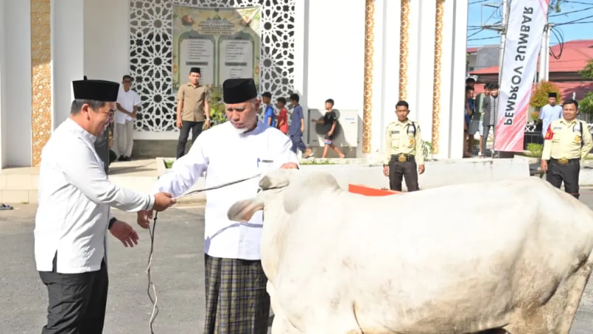 Gubernur Sumbar Mahyeldi menyerahkan sapi kurban di Masjid Baitul Auliya Kantor Gubernur Sumbar. Total delapan sapi disembelih pada Idul Adha 1447 H.