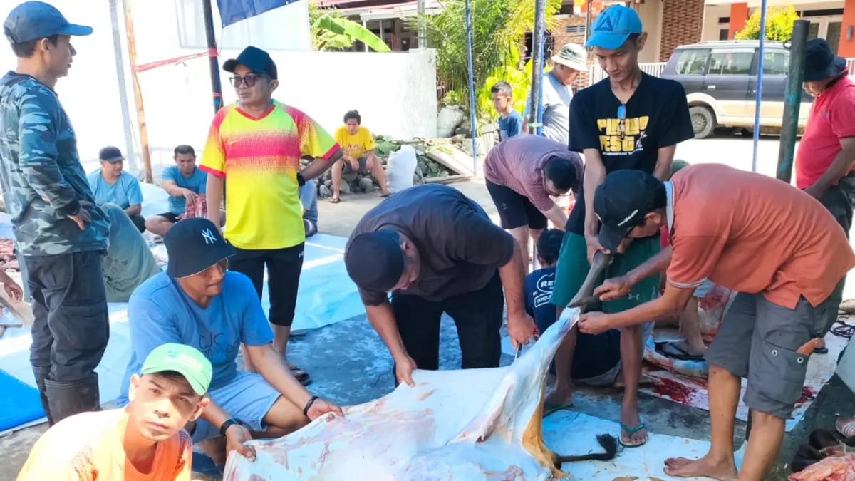Warga Kompleks Permata Surau Gadang (PSG) melaksanakan proses pemotongan hewan kurban pada Idul Adha 1447 H di Musala Ali bin Said, Kecamatan Nanggalo, Kota Padang, Rabu (27/5/2026).