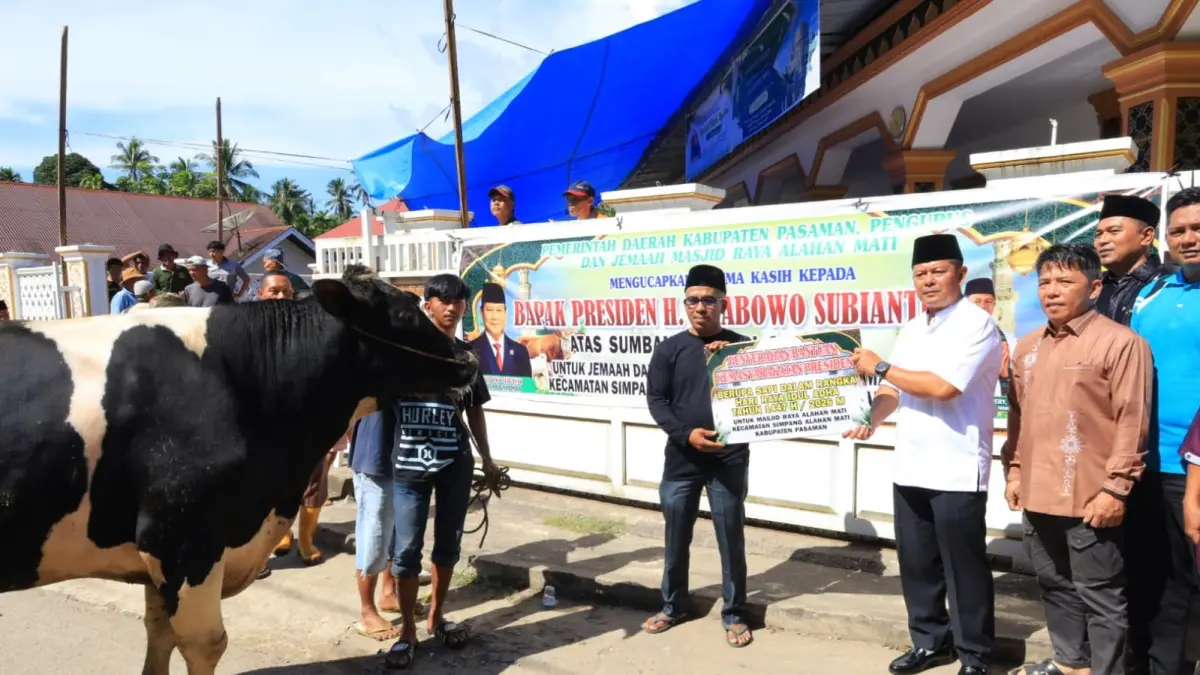 Bupati Pasaman Welly Suhery saat menghadiri penyembelihan sapi kurban bantuan Presiden RI Prabowo Subianto di Alahanmati, Kecamatan Simpang Alahanmati, Kabupaten Pasaman, Kamis (28/5). (DOK PROKOPIM)