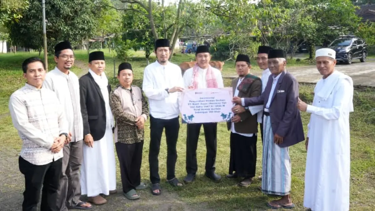 PT Bukit Asam menyalurkan hewan kurban sebagai bagian dari program Tanggung Jawab Sosial dan Lingkungan (TJSL) pada perayaan Idul Adha 2026.(Foto: Corcom PTBA)