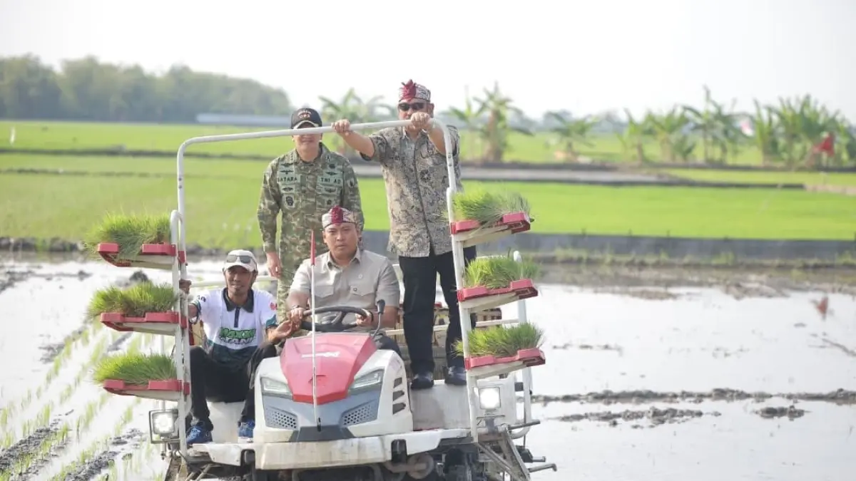 Wamentan Sudaryono bersama Kepala Bappenas dan petani saat melakukan penanaman padi di Desa Kebalankulon, Lamongan.(Foto: Humas)
