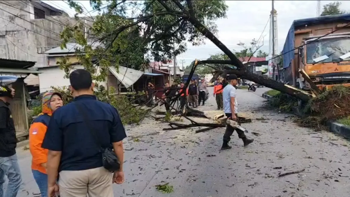 Kecelakaan truk tronton terjadi di Jalan Raya Padang-Solok, Bandarbuat, Padang, Kamis (11/6/2026). Diduga sopir mengantuk hingga mobil hilang kendali dan menabrak pohon hingga tumbang. (Foto: Polsek Lubukkilangan)
