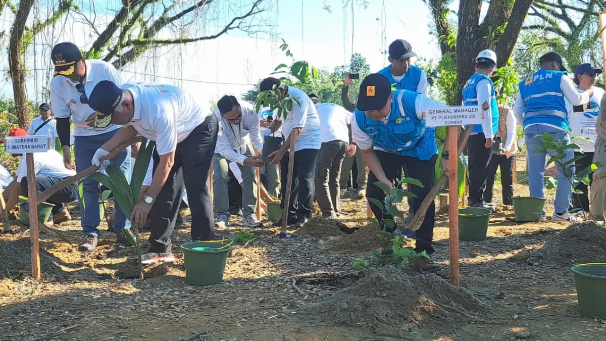 Gubernur Sumatera Barat Mahyeldi bersama PLN UID Sumbar, DLH Sumbar, komunitas lingkungan, dan pelajar menanam pohon di Hutan Kota Malvinas Padang dalam rangka Hari Lingkungan Hidup Sedunia 2026.