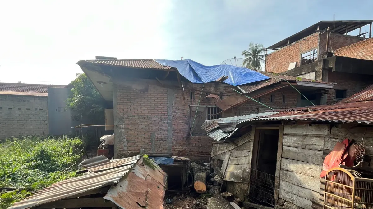 Cuaca ekstrem yang disertai hujan lebat, angin kencang, dan petir menyebabkan sebuah pohon tumbang hingga menimpa dua rumah warga di Jalan Merak, Padang Kaduduak, Kelurahan Tigo Koto Diateh, Kecamatan Payakumbuh Utara, Kota Payakumbuh, Minggu (14/6) sekitar pukul 17.00 WIB. (DOKUMENTASI PRIBADI)