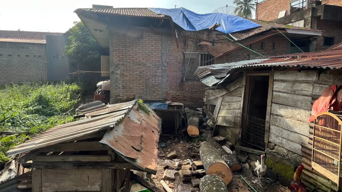 Petugas BPBD Kota Payakumbuh memasang terpal pada atap rumah yang rusak akibat tertimpa pohon tumbang di Jalan Merak, Padang Kaduduak, Kecamatan Payakumbuh Utara, Minggu (14/6/2026). (Foto: BPBD Payakumbuh)
