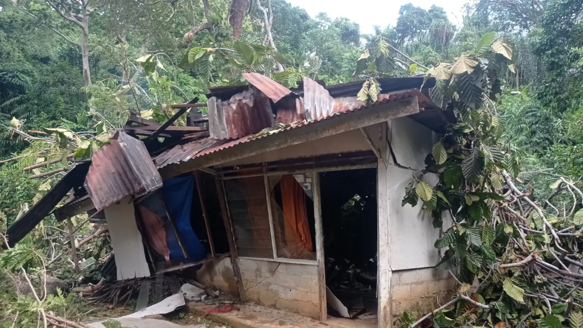 Rumah milik Syafrizal (50) di Bukit Gado-Gado, Padang Selatan, Padang, rusak diterpa angin kencang dan akhirnya ditimpa pohon tumbang, Rabu (17/6/2026).