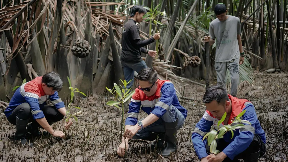 Program Hutan Petrofin dalam mendukung target Net Zero Emission 2060 melalui penanaman bibit mangrove sebagai bagian dari upaya pelestarian ekosistem pesisir di Indonesia. (dok. elnusa petrofin)