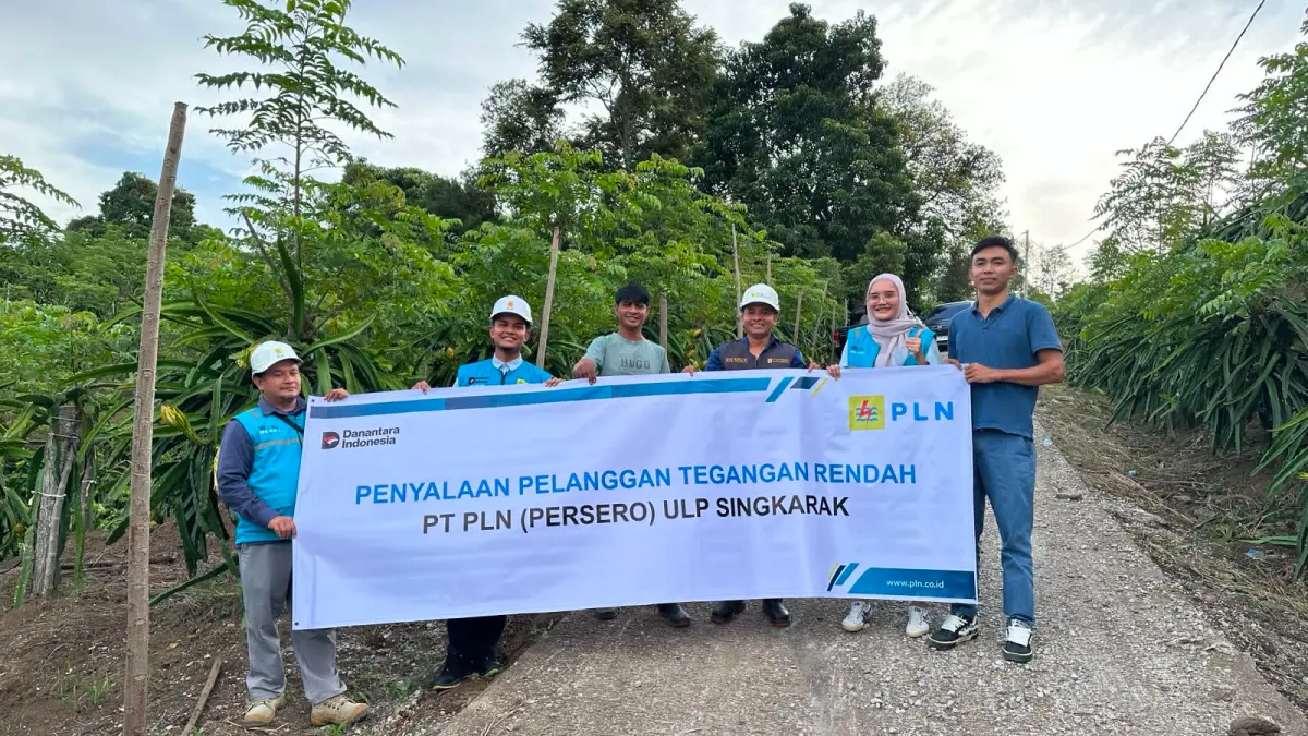 PLN menyalakan listrik 33 kVA di kebun buah naga milik Nofriadi di Solok untuk mendukung penerapan teknologi pertanian modern.