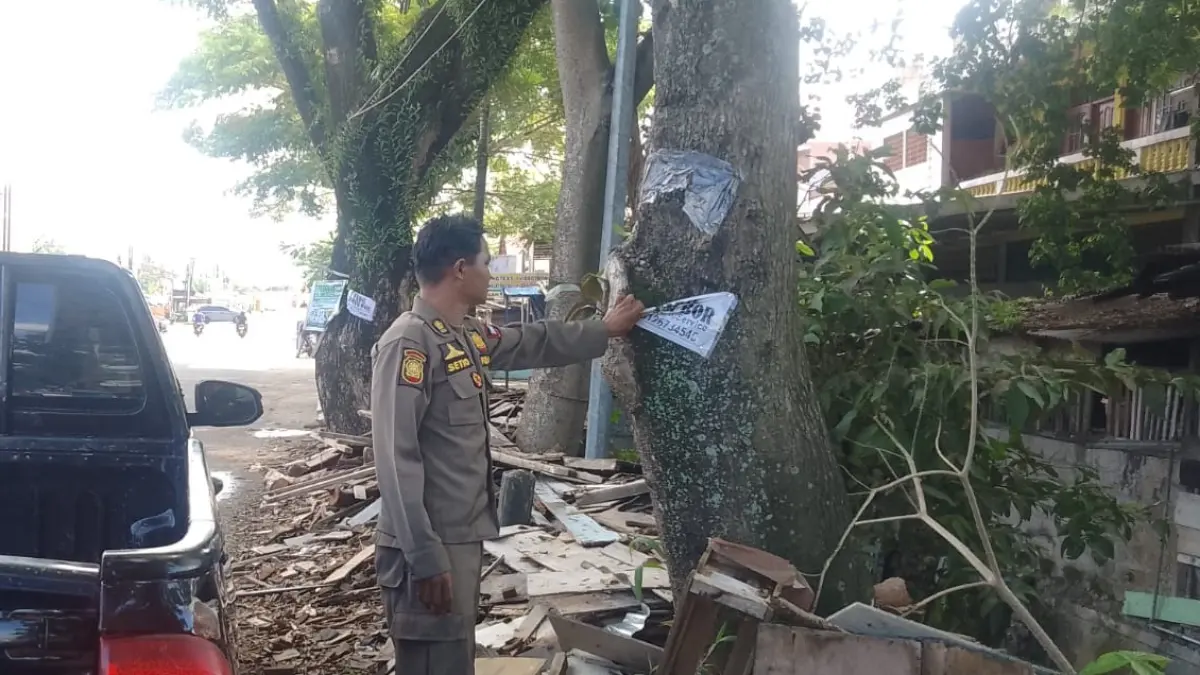 Personel Satpol PP BKO Kecamatan Nanggalo menurunkan iklan liar yang terpasang di batang pohon dan fasilitas umum di Kota Padang, Kamis (9/7/2026). (Humas Satpol PP Padang)