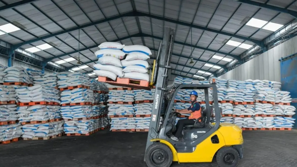 Pemahaman petani dalam memanfaatkan pupuk bersubsidi secara tepat bisa meningkatkan produktivitas pertanian sekaligus menjaga kesuburan tanah untuk jangka panjang.(Foto: Corcom)