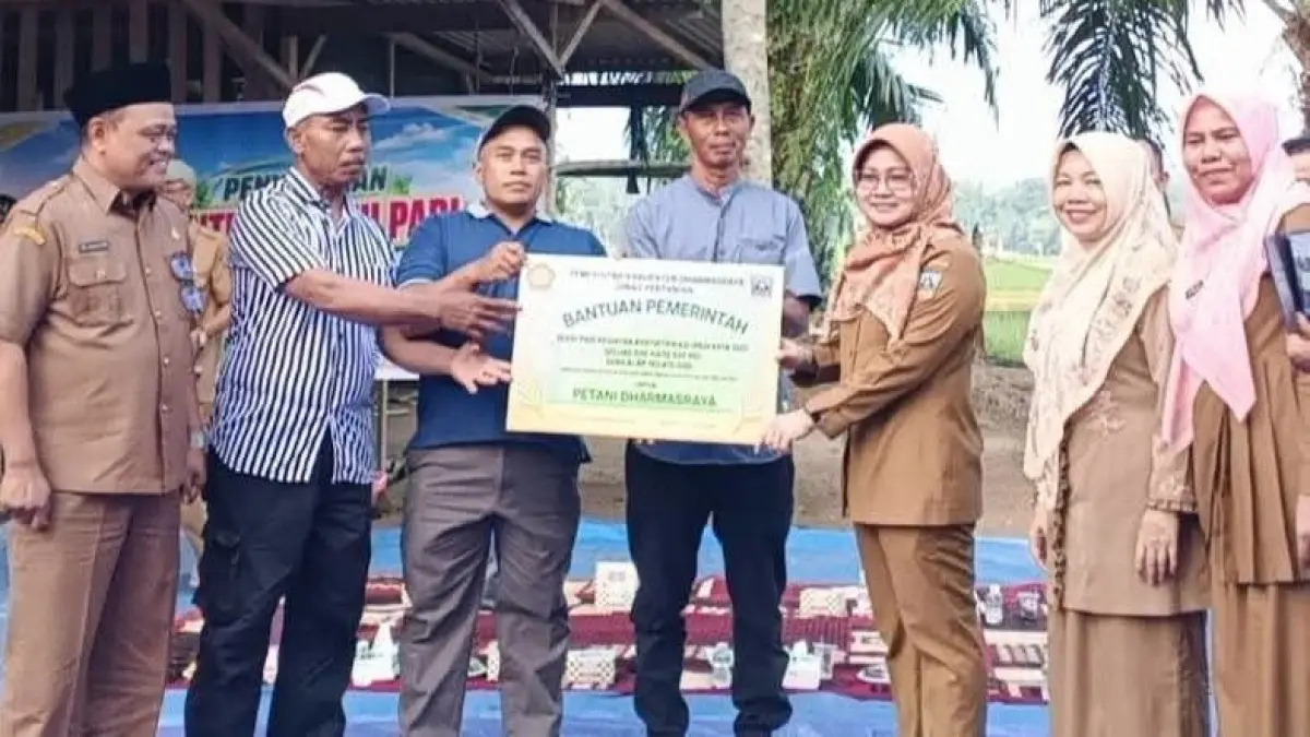 Bupati Dharmasraya Annisa Suci Ramadhani menyalurkan 12,5 ton benih padi biofortifikasi kepada 30 kelompok tani untuk lahan seluas 500 hektare. (DOKUMENTASI PEMKAB DHARMASRAYA)