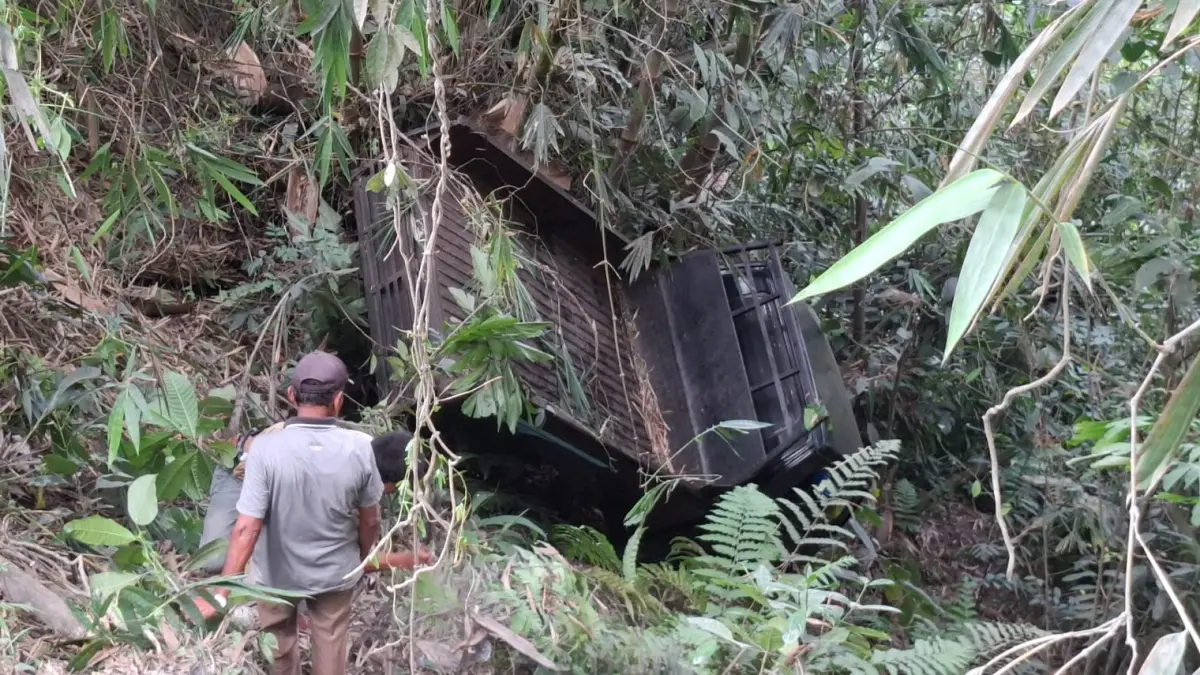 Mobil pikap L300 yang terjun ke jurang sedalam sekitar 10 meter di Jalan Raya Payakumbuh–Lintau, Kecamatan Lareh Sago Halaban, Kabupaten Limapuluh Kota, Rabu (15/7/2026).