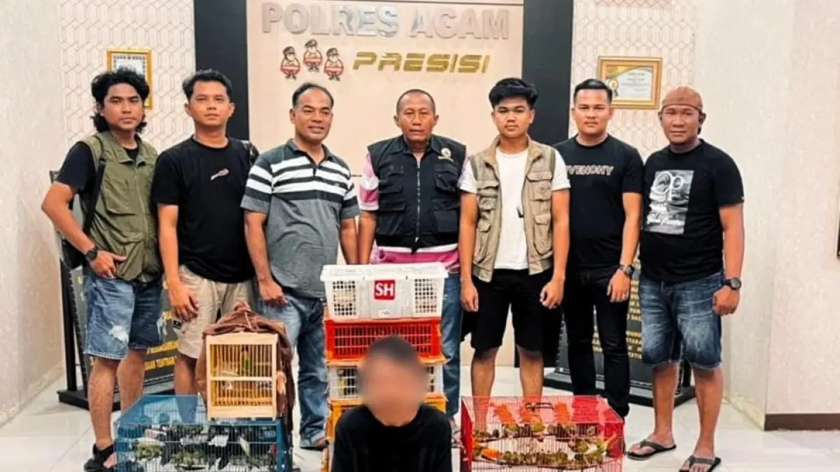 SATWA DILINDUNGI: Tim gabungan Balai Konservasi Sumber Daya Alam (BKSDA) Sumatera Barat dan Satreskrim Polres Agam mengamankan pelaku beserta 225 ekor burung berbagai jenis hasil perdagangan ilegal antarprovinsi di Mapolres Agam, Sabtu (22/7). (BKSDA FOR PADEK)
