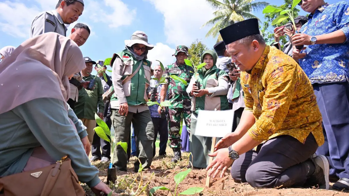 Pemerintah Kota Payakumbuh memulai pengembangan agribisnis pisang melalui Gerakan Tanam Pisang Serentak di Gapoktan Talang Saiyo, disertai penyaluran bibit, pupuk, pendampingan, dan kerja sama pengembangan dengan Politeknik Pertanian Negeri Payakumbuh, Kamis (23/7/2026).