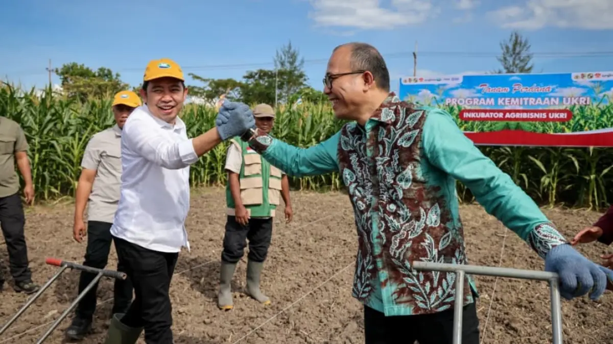 Plt Deputi Bidang Usaha Mikro Kementerian UMKM Riza Damanik menghadiri tanam perdana jagung kemitraan di Jember dan mendorong pemanfaatan KUR tanpa agunan bagi petani.(Foto: Humas)