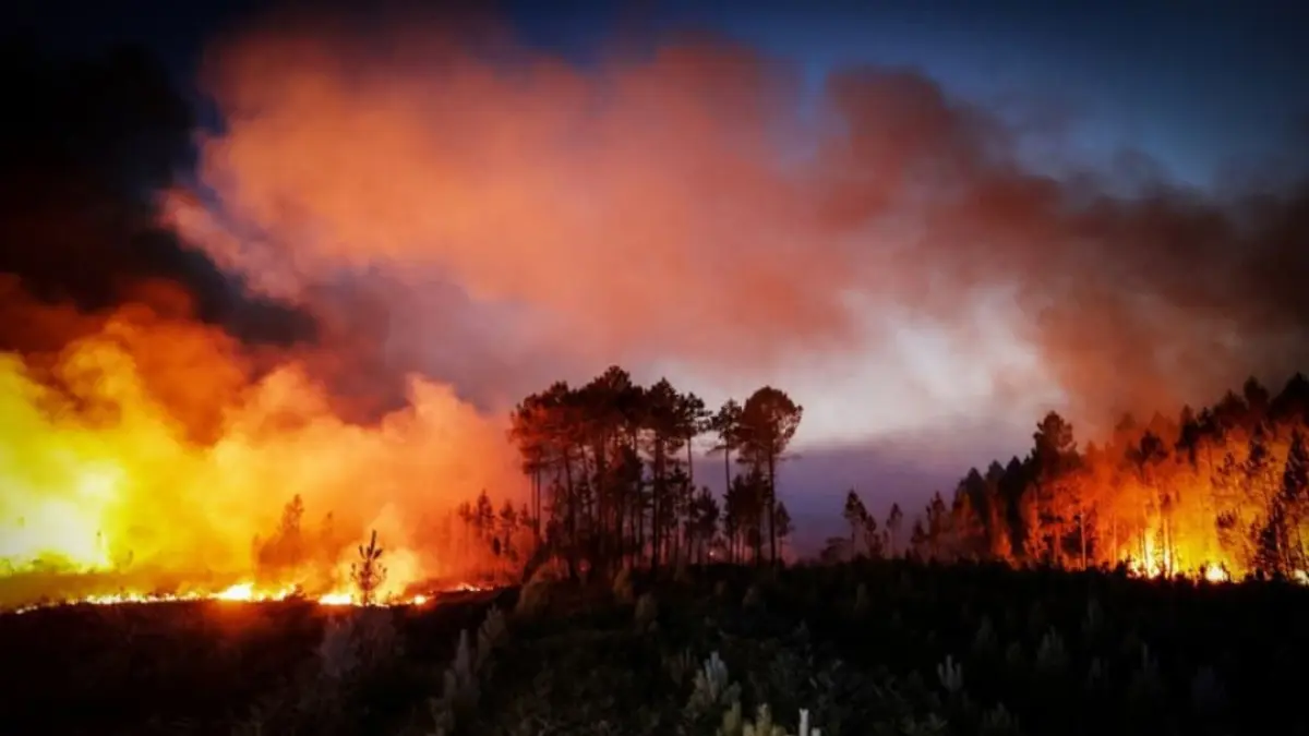 Kebakaran hutan di Gironde, Prancis memaksa 110 ribu warga dievakuasi dan api bergerak menuju Bordeaux.(Foto; @actucenter)