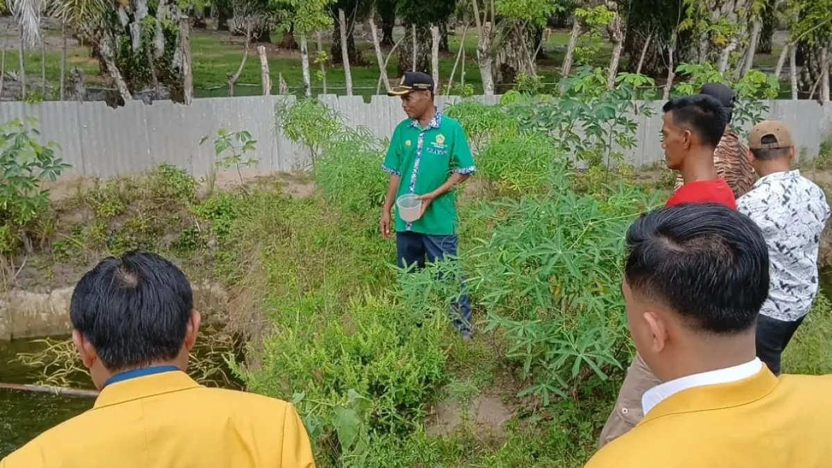 Tim UNP mengembangkan budidaya Azolla microphylla sebagai pakan alternatif berprotein tinggi bagi itik dan ikan di Nagari Surantih, Kecamatan Sutera, Kabupaten Pesisir Selatan.(Foto: KKPS)