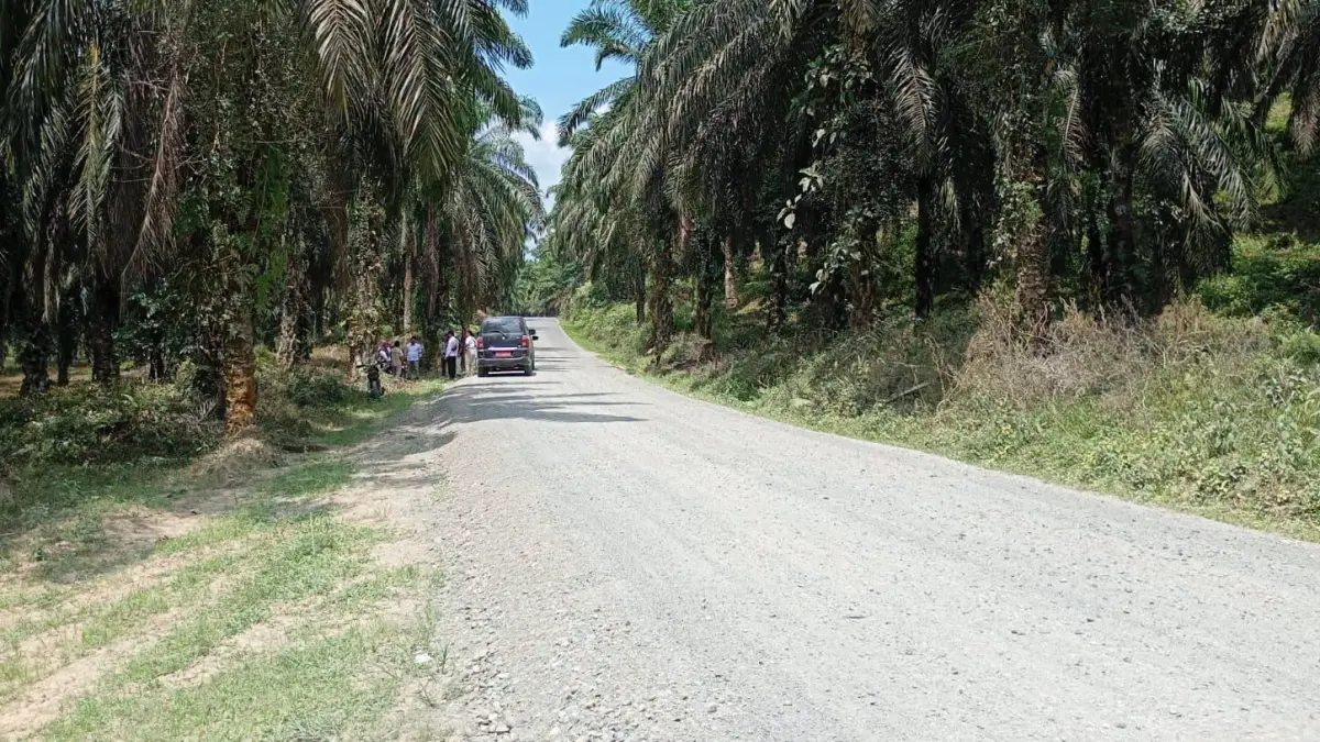 Tim gabungan Dinas PUPR dan DPMPTSP Dharmasraya memeriksa kesiapan lapisan agregat jalan penghubung Marga Makmur menuju SP 3 di Nagari Taratak Tinggi.
