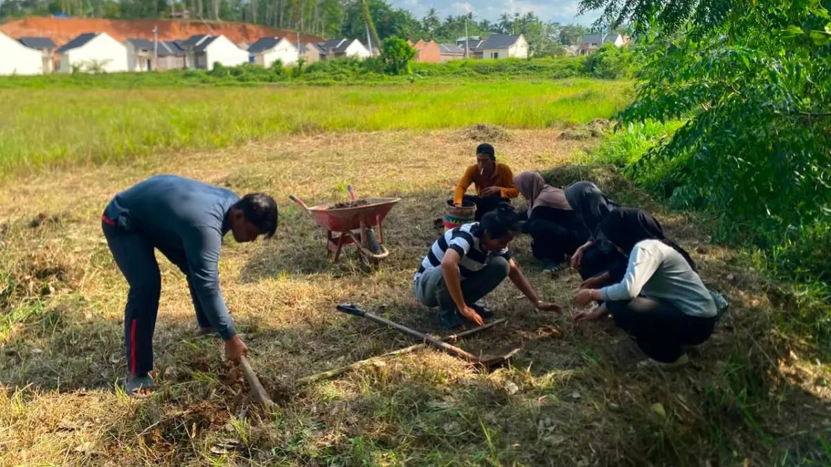 Mahasiswa KKN UNP terlibat dalam pembuatan pakan fermentasi, penyusunan mineral block, penanaman hijauan pakan, hingga perawatan kandang kambing etawa di Nagari Palalua.