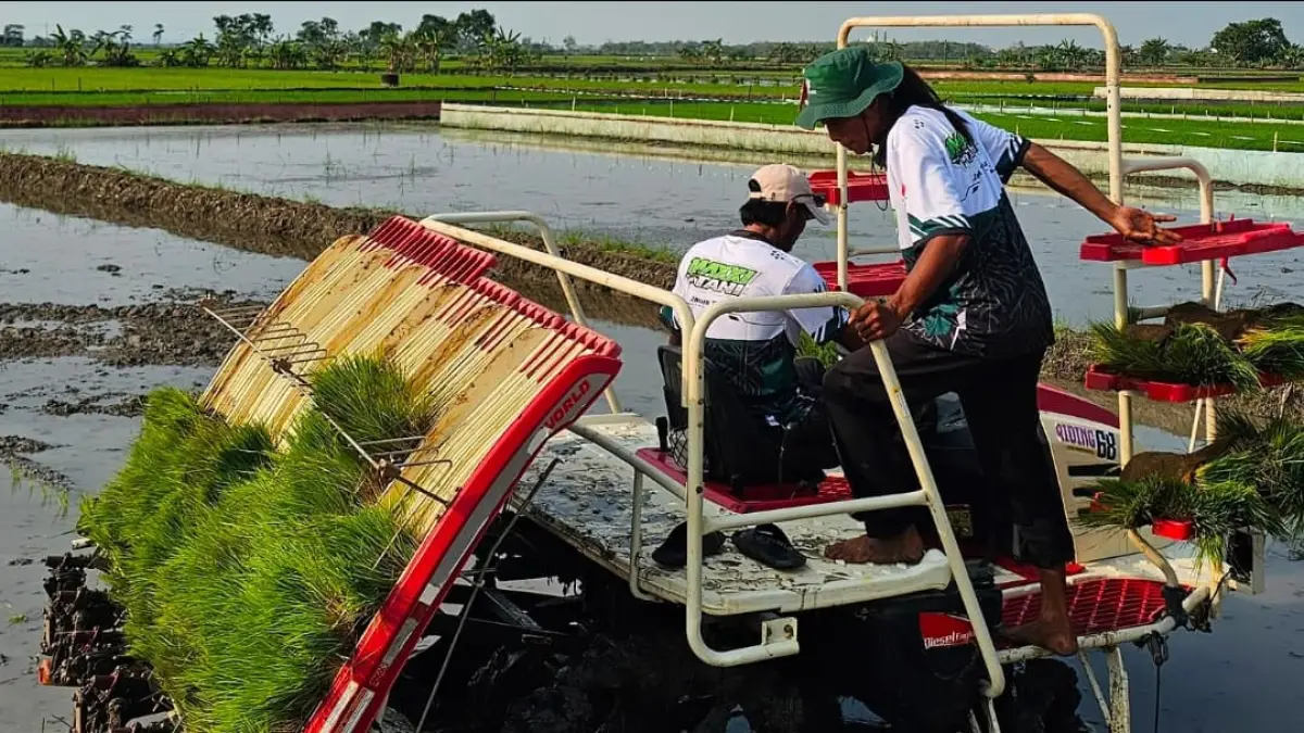 BPS memproyeksikan produksi beras nasional untuk konsumsi pangan masyarakat sepanjang Januari hingga September 2026 mencapai 28,71 juta ton.(Foto: Humas Kementan)