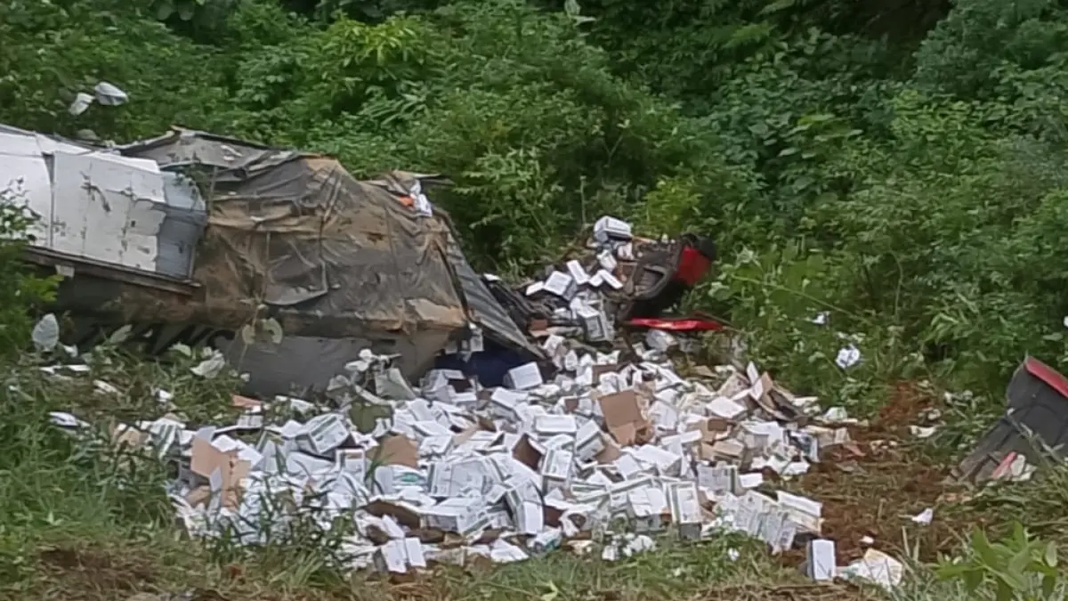 Truk wingbox bermuatan bibit jagung masuk jurang di Kelok Banto, Padang, setelah mengalami rem blong. Sopir dan kenek mengalami luka ringan, Kamis (6/8/2026).