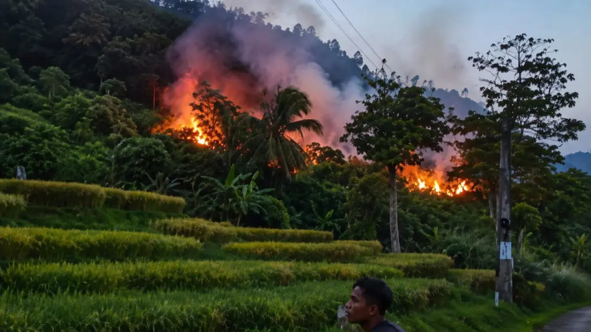 Kebakaran dua hektare lahan di Malalo, Batipuh Selatan, Tanahdatar, nyaris merembet ke sawah padi menguning sebelum berhasil dipadamkan petugas Damkar.