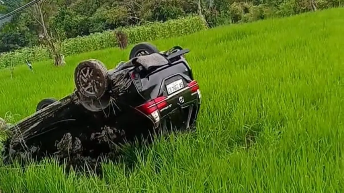 Sebuah minibus terbalik hingga masuk ke area persawahan di pinggir Jalan Raya Salimpaung, Kabupaten Tanahdatar, Selasa (11/8/2026).