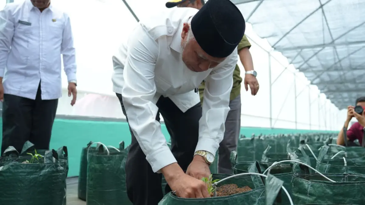 Gubernur Sumbar Mahyeldi meresmikan screenhouse cabai modern Kelompok Tani Karya Tani Muaro Batang Gadis di Jorong Surabayo, Nagari Lubuk Basung, Kabupaten Agam, Jumat (21/8/2026).