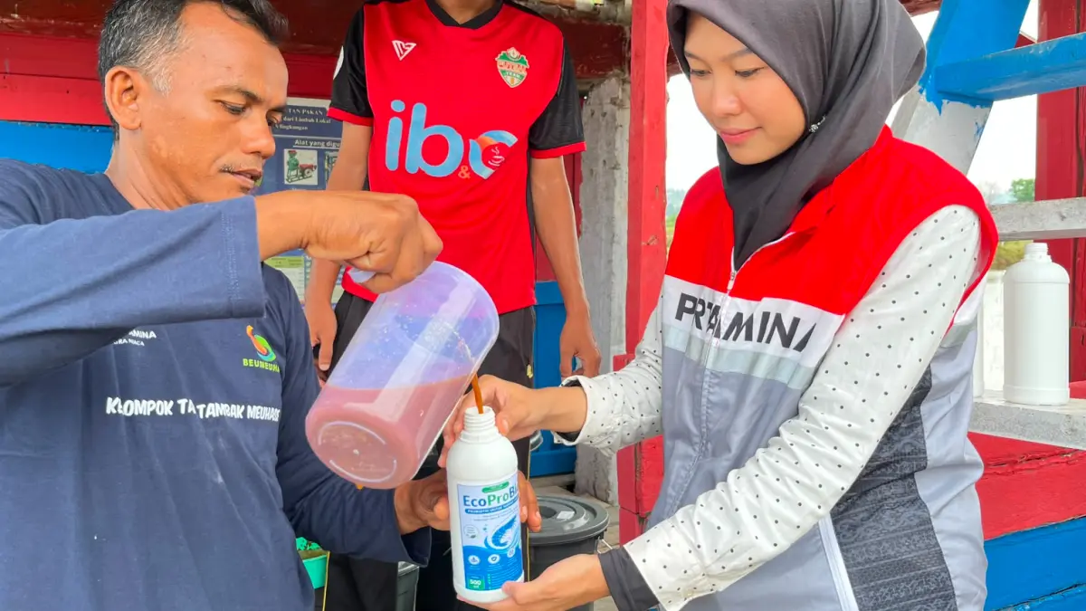 Pertamina mengembangkan probiotik MOL dari limbah buah pasar untuk membantu petambak udang Lhokseumawe menghadapi dampak perubahan iklim.