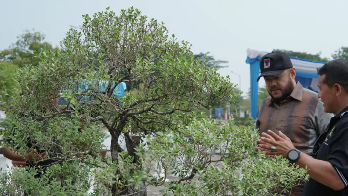 Wali Kota Padang Fadly Amran buka Pameran Bursa dan Jemur Bonsai yang digelar Perkumpulan Penggemar Bonsai Indonesia (PPBI) Cabang Padang di Lapangan Tugu Apeksi, Balai Kota Padang, Aie Pacah, Sabtu (22/8/2026).(Foto: Diskominfo)