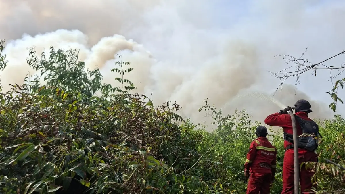Penanganan kebakaran hutan dan lahan (karhutla) di Desa Sungai Guntung Hilir, Kecamatan Rengat, Kabupaten Indragiri Hulu (Inhu), memasuki hari ke-21, Minggu (23/8/2026).(Foto: Media Center Riau)