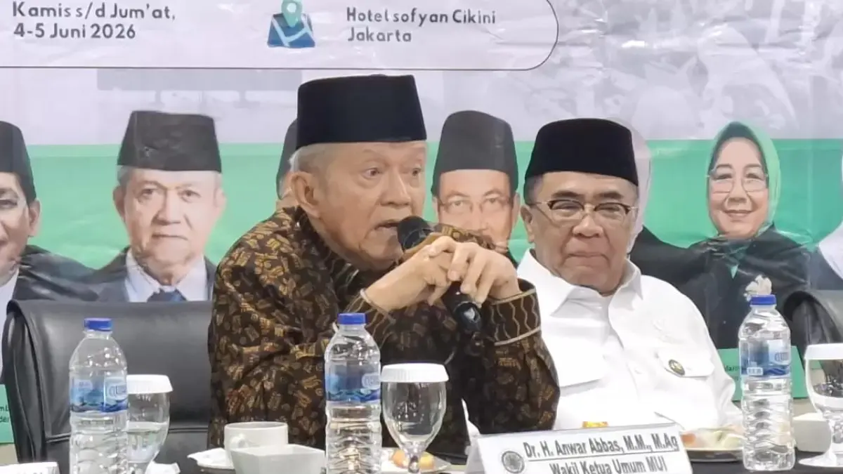 Wakil Ketua Umum MUI, Buya Anwar Abbas.