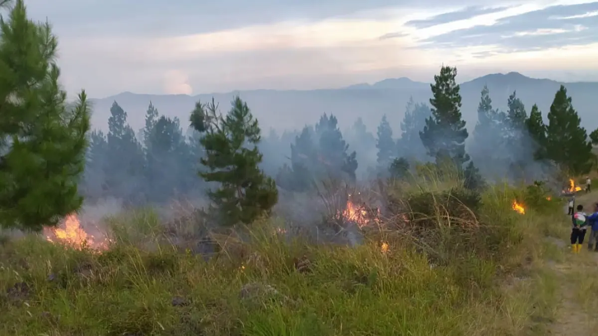 Karhutla Meluas di 4 Provinsi, BNPB Catat 108,28 Hektare Lahan Terbakar