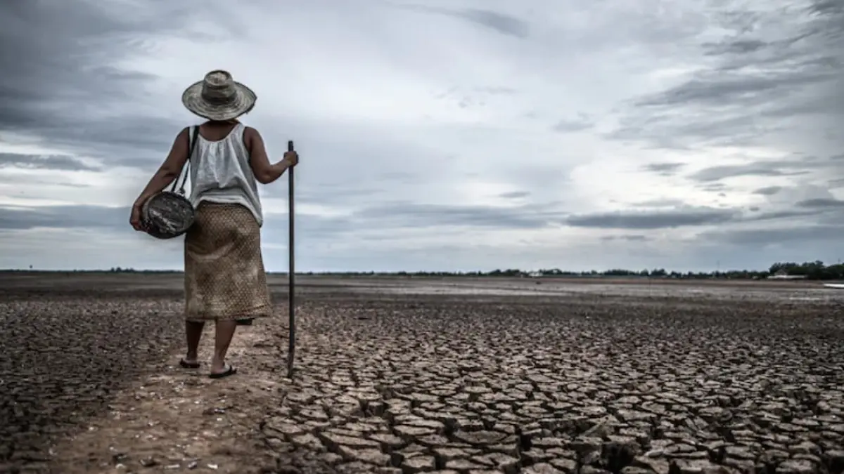El Nino menguat dengan suhu Pasifik hingga 2,6 derajat Celsius di atas normal menurut WMO. (Foto ilustrasi: Magnific)