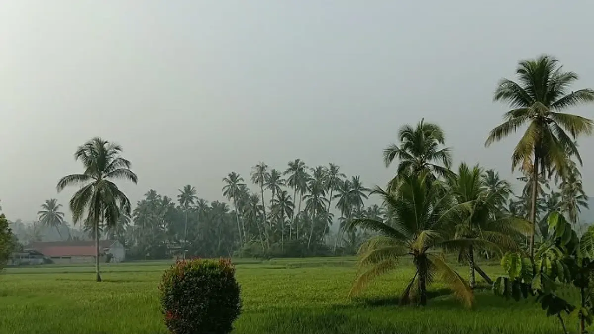 Kabut kuning menyelimuti sejumlah wilayah Solok selama tiga hari. BPBD mengimbau warga mengurangi aktivitas luar ruang dan memakai masker.