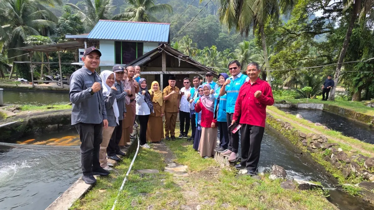 PLN memperkuat usaha budidaya ikan Kelompok Insya Allah Maju di Lubuk Basung, Agam melalui program TJSL, Selasa (8/9/2026).