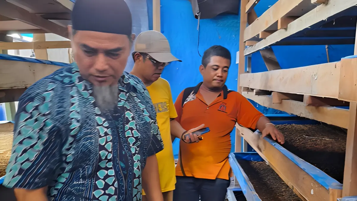 Warga Padayo mulai melihat budidaya maggot BSF sebagai peluang usaha untuk pakan ternak, pupuk organik, sekaligus mengurangi sampah lingkungan.
