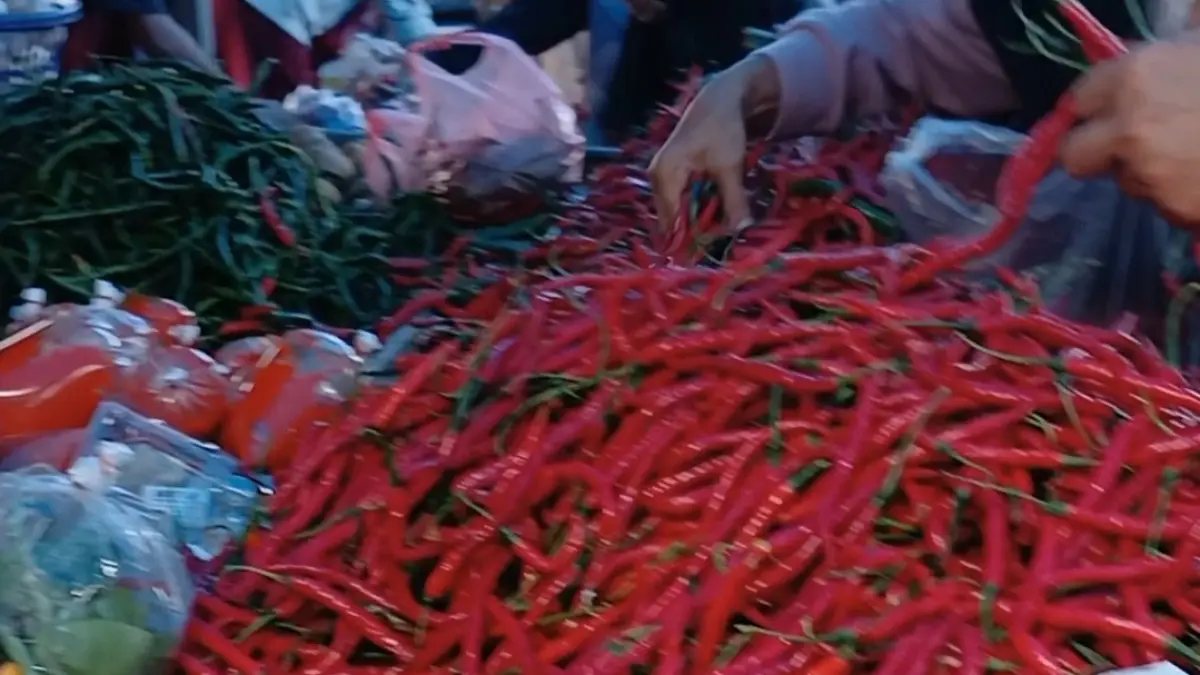 Harga cabai merah menjadi penyumbang terbesar inflasi bulanan Sumatera Barat pada September 2026 dengan andil 0,47 persen.