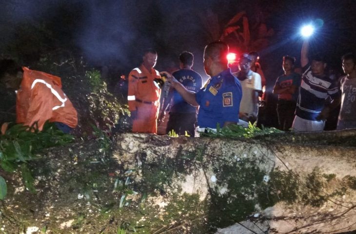 atgas BPBD, Pol PP-Damkar Agam bersama pihak kecamatan dan nagari saat membersihkan pohon tumbang di pinggir Jalan Nagari Persiapan Parikpanjang, Agam, Senin malam (31/8). (net)