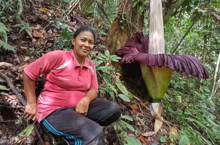 Bunga Bangkai ditemukan tumbuh di tanah kebun milik Yossy Ferawati, warga Jorong II, Nagari Garagahan. (IST)