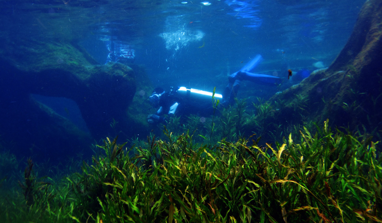 Kontur dasar bawah air Mato Aia Dingin yang eksotis membuat penyelam dari Diving Proklamator Universitas Bung Hatta, ingin menjajalnya.